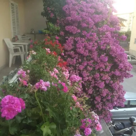 Mirjana Casa de hóspedes